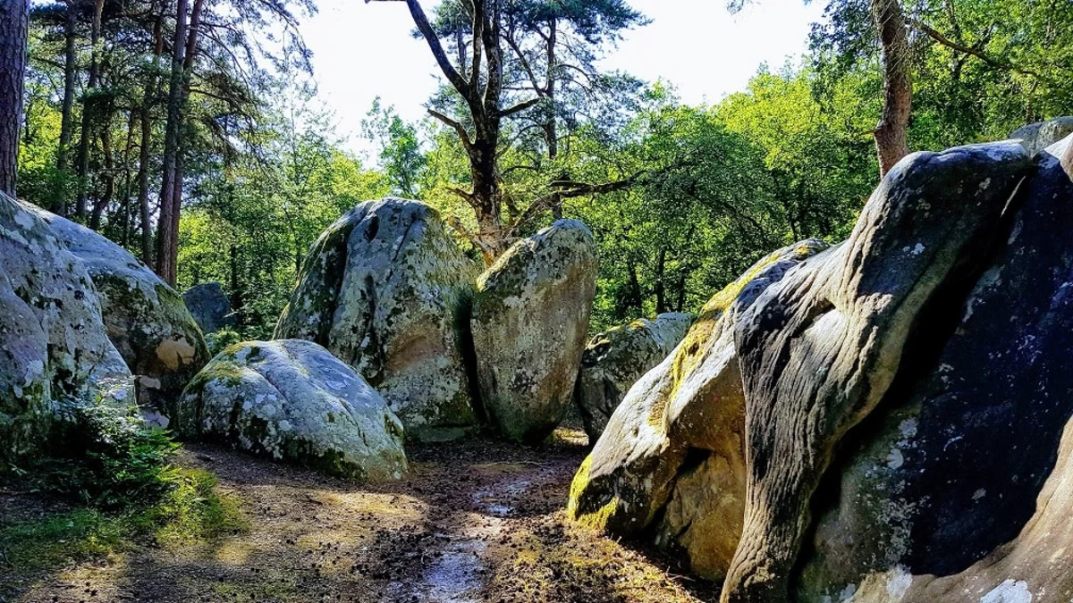 Suivi et affichage d'un permis de construire à Fontainebleau